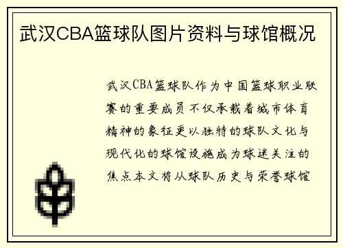 武汉CBA篮球队图片资料与球馆概况