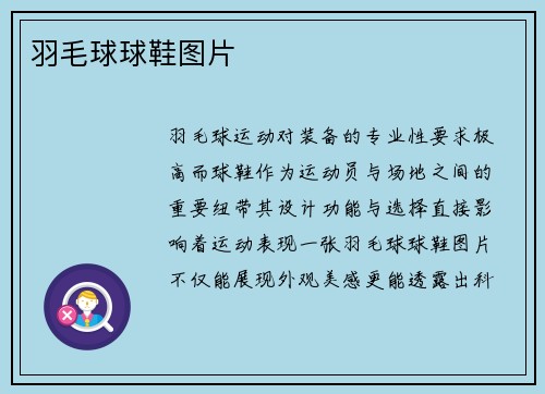 羽毛球球鞋图片